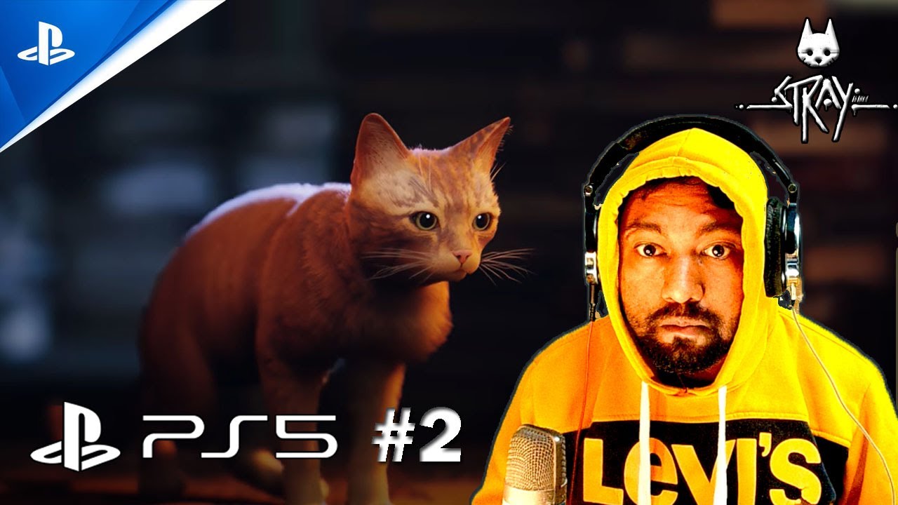 When the Cat Finally Meets a Robot in Stray… WOW! 😱