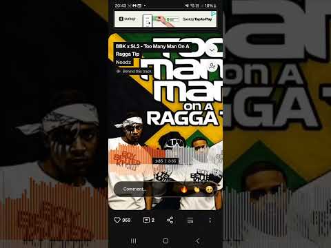 BBK x SL2 - Too Many Man On A Ragga Tip