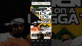 BBK x SL2 - Too Many Man On A Ragga Tip