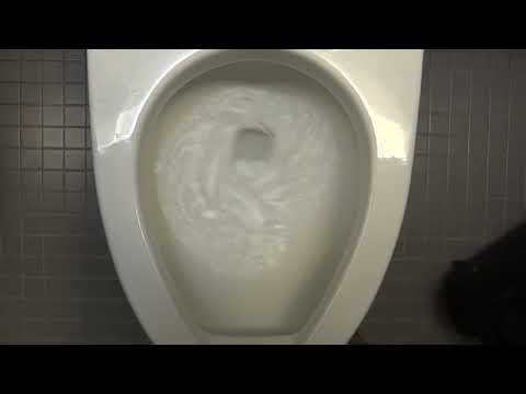 🚽 Bathroom Tour: Kohler Urinal and Toilet at Lynchburg regional airport