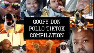 Goofy Don Pollo TikTok Compilation