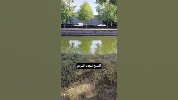 #تلاوة_خاشعة #الشريم #الشيخ #سعود_الشريم #الشيخ_الشريم #قرآن #nature #коран #аллах