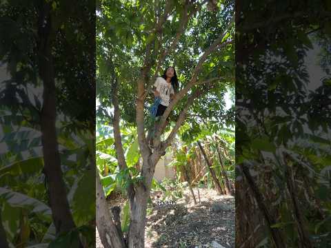 Hanya Orang Ber-IQ Tinggi yang paham video ini