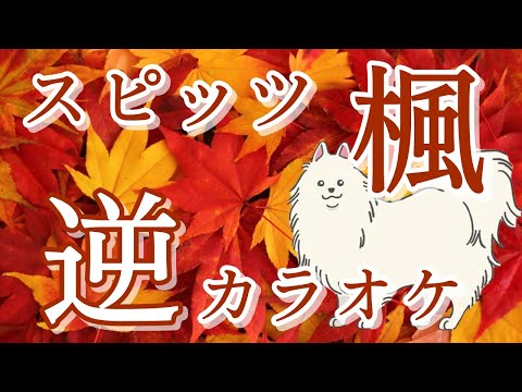 「楓」KANTANコード対応　逆カラオケ