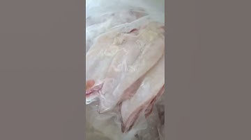 Mực ống cấp đông