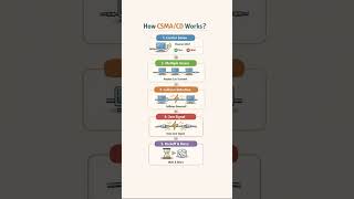 How CSMA/CD Works ?🔥| Explained In 6 Seconds | Networking Basics #ccna #networking #cisco