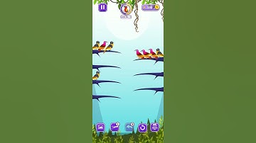 Bird Sort Color Puzzle Trailer