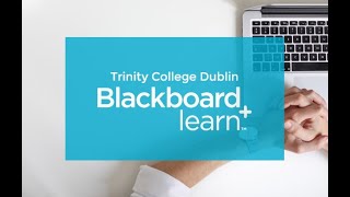 Trinity-INC Skills Session: Creating Accessible Content in a Blackboard Module