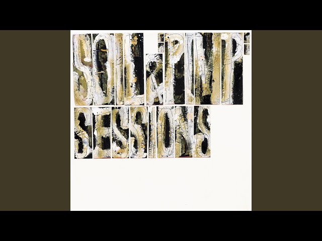 SOIL & PIMP SESSIONS - The Party