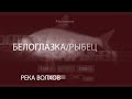 Русская рыбалка 4! Russian Fishing 4! Река Волхов - Белоглазка/Рыбец