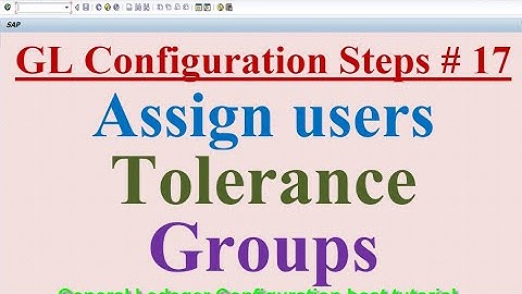GL Configuration Steps #17 Assign User Tolerance Groups