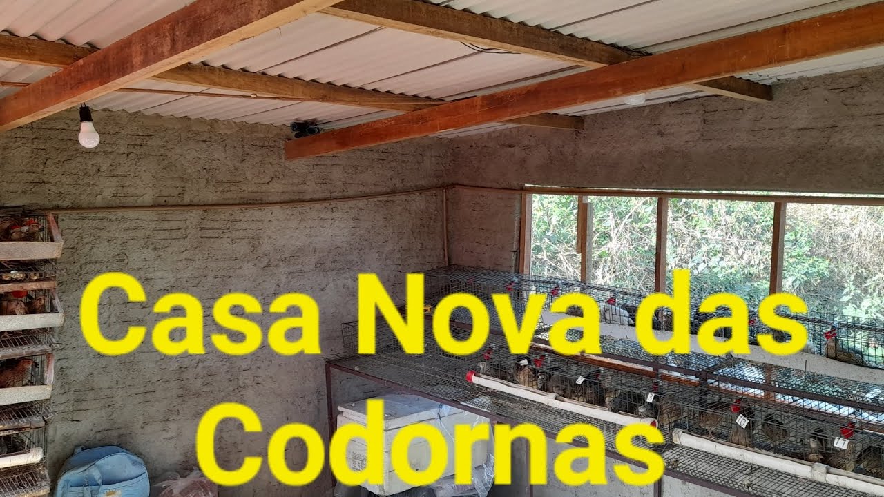 Novo lar das codornas