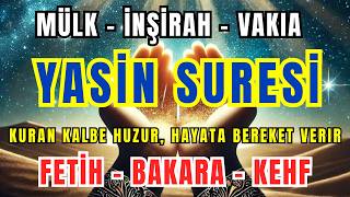 Evde Sesli Dinle - Yasin Suresi - Fetih Suresi - Kalem - Nebe - Vakıa - Rahman - Fecr - Ayetel Kürsi