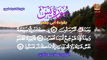 سورة يس بقراءة أبى جعفر القارئ عمادسعدالدين