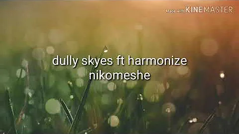 Harmonize ft dully Sykes nikomeshe ( lyrics video)