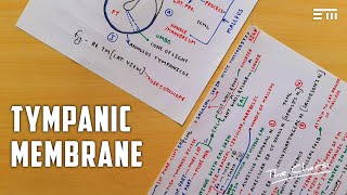 Tympanic Membrane - 7, Theory & Diagram | TCML