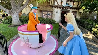 Alice & Mad Hatter Character Fun with Teacup by Mad Hatter Shop in Fantasyland - Disneyland 2024