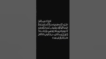 الشيخ ياسر الدوسري سورة النور