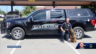 Shawnee Police Department K-9 back to work after being stabbed