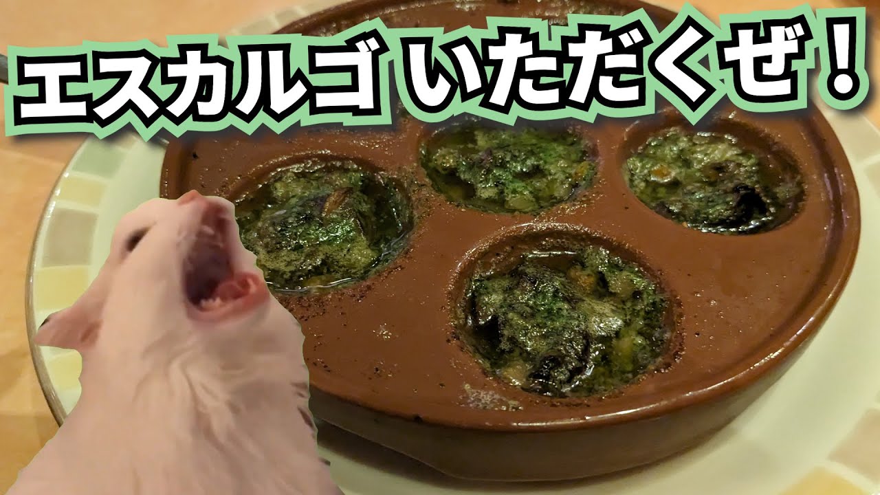 サイゼリヤでエスカルゴを食べた何気ない話【猫ミーム】