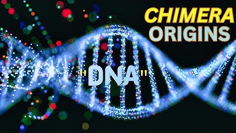 The Wonders of Chimera Origins: A Journey into Extraordinary Genetic Marvels! | Having A Nice Day