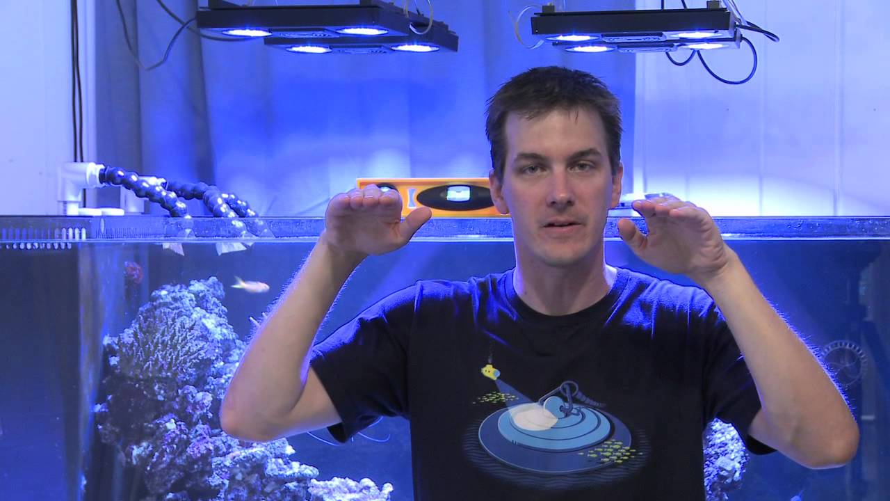 how to videos on tiktok Mr. Saltwater Tank TV Friday Am Quick Tip #90: Steady...Steady Now