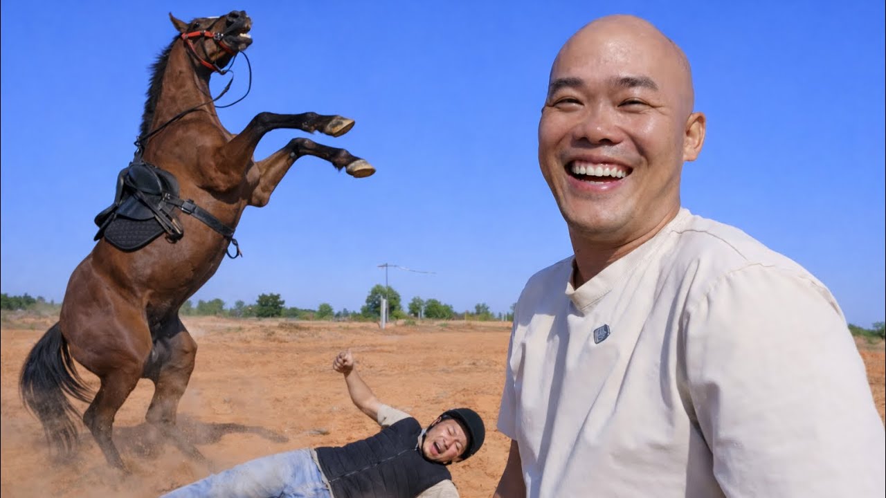 HÔM NAY CÓ KHÁCH XIN CƯỠI NGỰA & CÁI KẾT CƯỜI RA NƯỚC MẮT 🤣 | CUỘC SỐNG NÔNG DÂN