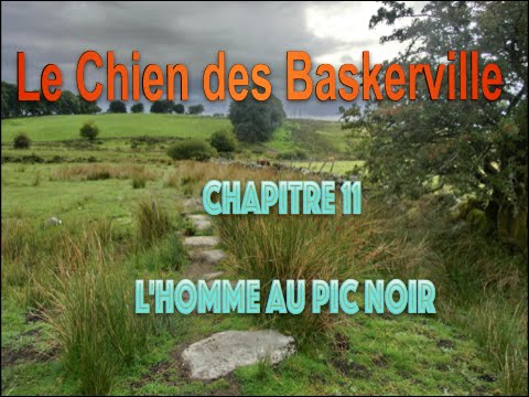 Le Chien des Baskerville : Chapitre 11 - L'Homme du Pic noir