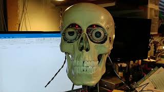 Sentient Robots?  Building Westworld, Test Video
