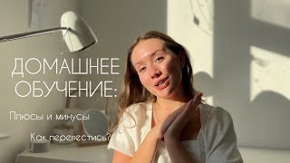 ДОМАШНЕЕ ОБУЧЕНИЕ: мой опыт