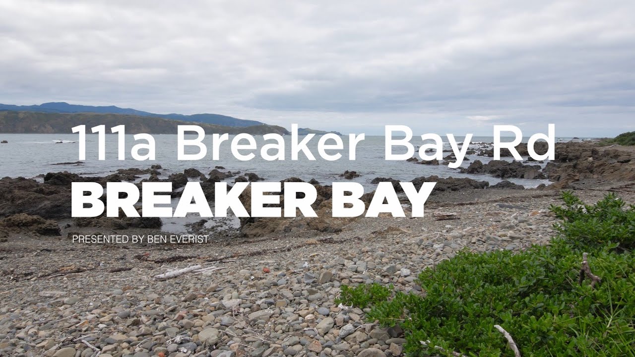 111a Breaker Bay Road, Breaker Bay - Wellington (Ben Everist)