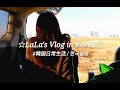 【在韓14年目Vlog】日韓夫婦の日常と韓国料理#079:ネットスーパーで買ったもの紹介、娘とチキンム作り