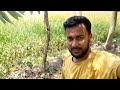 গ্রামের এক গরমের দুপুর। Free Minder। 1st Vlogs #FreeMinder