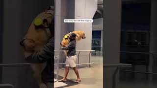 Every dad with their dogs 🥹🐶 #goldenretriever #dogdad #oscarwonderpup #pets