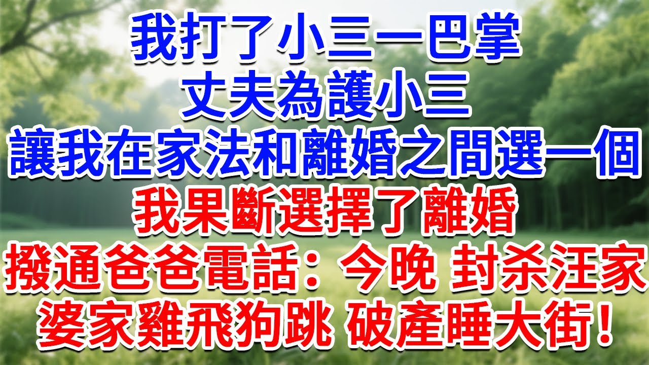 我打了小三一巴掌，丈夫為護小三，讓我在家法和離婚之間選一個，我果斷選擇了離婚，撥通爸爸電話：今晚 封鎖汪家！婆家雞飛狗跳 破產睡大街！#為人處世#生活經驗#情感故事#故事#小說#戀愛#情感#婚姻