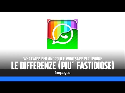 Video: WhatsApp è il più popolare?