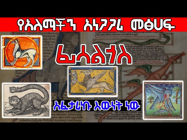 ፊሳልጎስ የአለማችን አነጋጋሪ መፅሀፍ | Ethiopia @Axum Tube class=