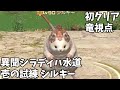 【FF14】壱の試練 シルキー 初クリア竜視点【異聞シラディハ水道】