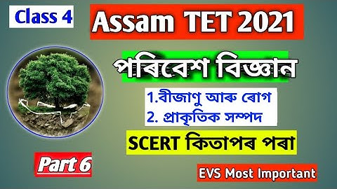 Assam TET 2021 // Environmental Science-EVS // Class 4 Part 6 // TK Assamese Education