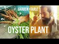 I grew the Oyster Plant - Black Salsify