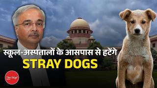 Supreme Court’s Big Order on Stray Dogs | Schools, Hospitals &amp; Public Safety Debate
