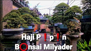 Bonsai K🟢lekt🔴r Milyarder Bali❗Bapak Haji Pipin