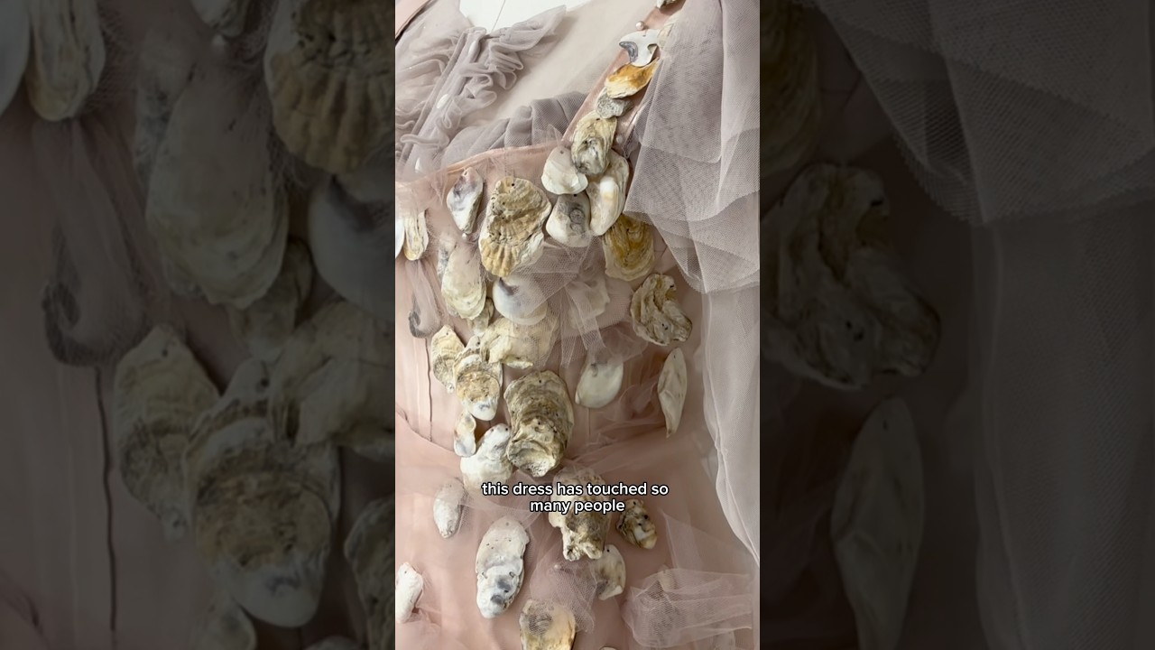Oyster Dress UPDATES! 🦪