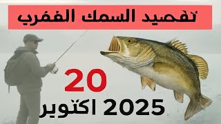 توقعات الصيد في المغرب لعشرين أكتوبر ألفين وخمسة وعشرين: اترك كل شيء واذهب للصيد!