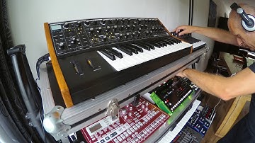 MOOG sub37 in action
