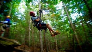 TreeTops Zip Line Canopy Tour