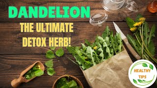 Dandelion Health Benefits: The Best Herb for Liver Detox & Blood Sugar Balance! 🌿