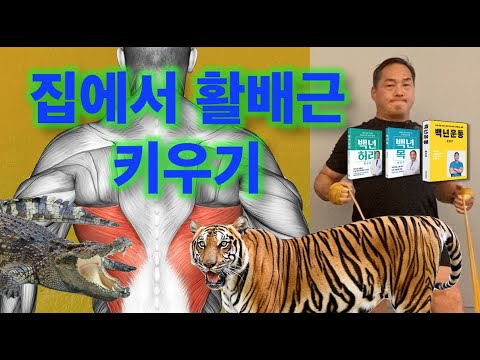 집에서 활배근 키우기