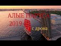 Алые Паруса 2019 с дрона в 4К | белые ночи