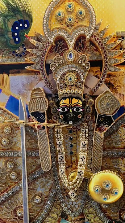 🙏Sanvariya seth ki Jai Ho🙏🌍#sanvariya #jaishreeram #radhe#like #subscribe #comment #trending